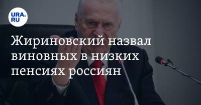Жириновский назвал виновных в низких пенсиях россиян