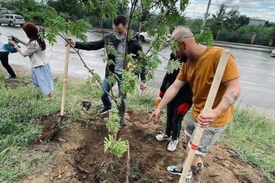 Мэрия и бизнесмены высадили деревья в Чите на деньги для поимки уничтожителей насаждений