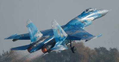 На Украине захотели наладить производство истребителей Су-27 и МиГ-29