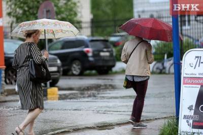 В южных и центральных районах Коми пройдут дожди