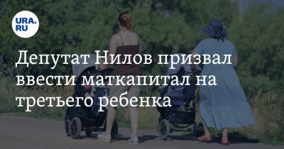 Депутат Нилов призвал ввести маткапитал на третьего ребенка