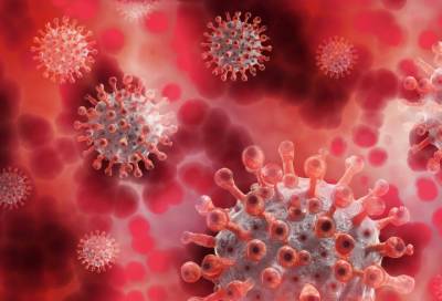 Вирусолог рассказал, способен ли коронавирус провоцировать тромбоз