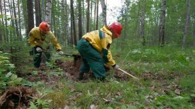 Новости на "России 24". Борьба с огнем: в Якутии ликвидировали 15 очагов возгорания в лесу