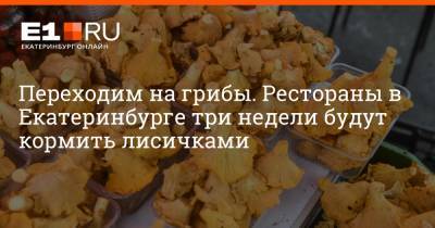Переходим на грибы. Рестораны в Екатеринбурге три недели будут кормить лисичками
