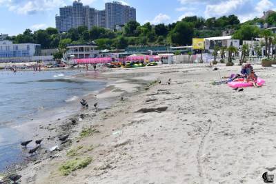 Температура морской воды в Одессе 24 июля: море теплое, но купаться не стоит