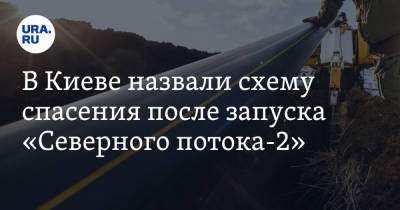 В Киеве назвали схему спасения после запуска «Северного потока-2»