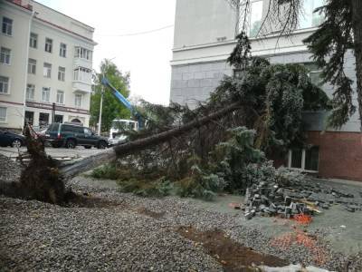 На реконструируемой Советской площади в Уфе на здание рухнула ель