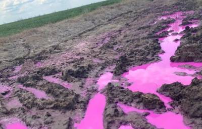 Госэкоинспекция исследует почву возле разлива розового вещества на Ровенщине