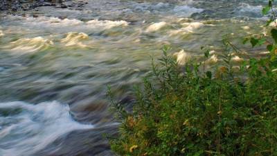 Река Дагомыс в Сочи вышла из берегов из-за мощных ливней