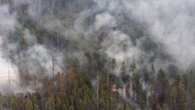 В МЧС рассказали о ситуации с лесными пожарами в Якутии