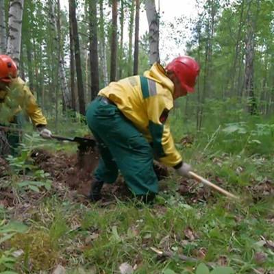 На территории Якутии продолжают действовать 220 лесных пожаров