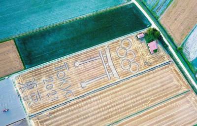 Итальянский мастер ленд-арта изобразил на поле гигантский символ Олимпиады в Токио