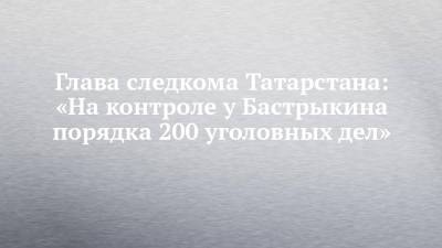 Глава следкома Татарстана: «На контроле у Бастрыкина порядка 200 уголовных дел»