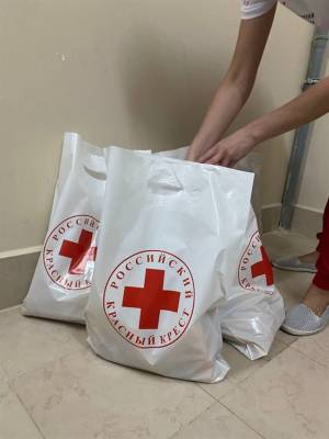 Ульяновские активисты «Российского Красного Креста» помогли в пандемию 40 тысячам нуждающимся
