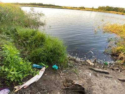 На Луганщине специалисты выясняют причины мора рыбы в водоеме