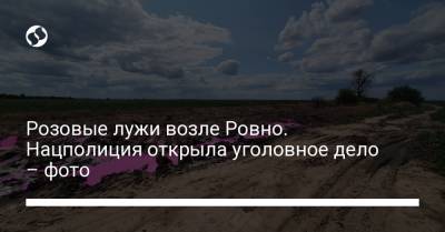 Розовые лужи возле Ровно. Нацполиция открыла уголовное дело – фото
