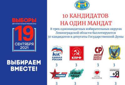 В Ленобласти документы о выдвижении подали 30 кандидатов в депутаты Госдумы
