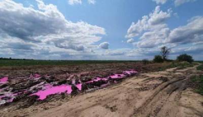 Полиция открыла уголовное производство по поводу розовых луж возле Ровно