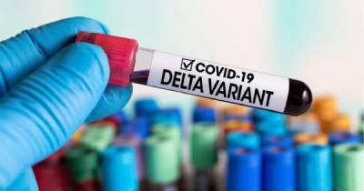 На Львівщині підтвердили перші випадки штаму коронавірусу "Дельта"