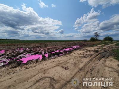 Полиция начала расследование из-за розовых луж с неизвестным веществом в поле под Ровно