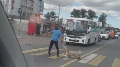 Житель Ленобласти тащил за ногу по проезжей части живого барана