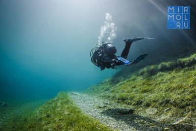 В Дербенте планируют создать подводный парк