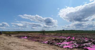 В Ривненской области полиция открыла дело из-за розовых луж на поле