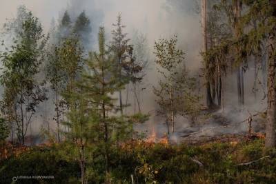 Лесной пожар перекинулся из Карелии в Финляндию