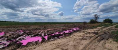 Под Ровно на полях появились аномальные розовые лужи из химикатов