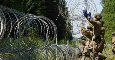Мигранты в Литве: Лукашенко, "колючка" на границе и проблемы Вильнюса