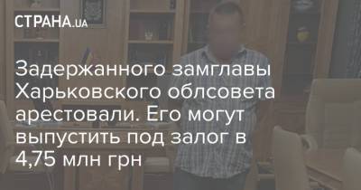 Задержанного замглавы Харьковского облсовета арестовали. Его могут выпустить под залог в 4,75 млн грн