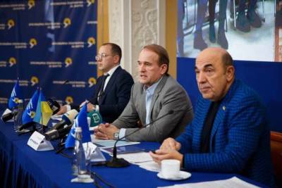 Украинские оппозиционеры обвинили Киев в саботировании «формулы Штайнмайера»