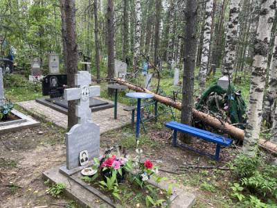 В Сосногорске после обращения на "Активный регион" убрали завалившееся на могилы дерево