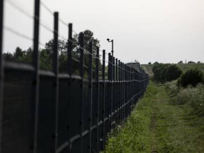 Литва призывает ЕС к активному участию в решении кризиса с мигрантами на границе с Беларусью