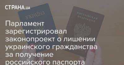 Парламент зарегистрировал законопроект о лишении украинского гражданства за получение российского паспорта