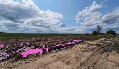 Полиция открыла дело из-за выброса ярко-розовых химикатов на Ривненщине