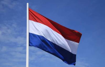 De Volkskrant: "Пару из РФ, предоставившую данные о крушении рейса Boeing MH17, могут выслать из Нидерландов"