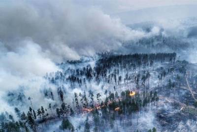 Пожары в Сибири стали источником рекордного загрязнения атмосферы