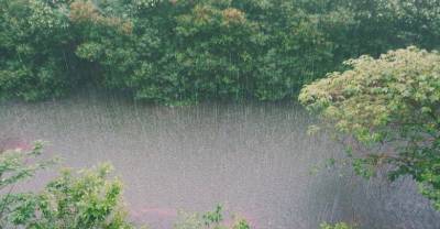 Гидрометцентр предупредил россиян о сильных дождях в ближайшие дни