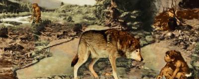 В России ученые по окаменевшим фекалиям определили диету собак неандертальцев