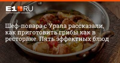 Шеф-повара с Урала рассказали, как приготовить грибы как в ресторане. Пять эффектных блюд - e1.ru - Екатеринбург