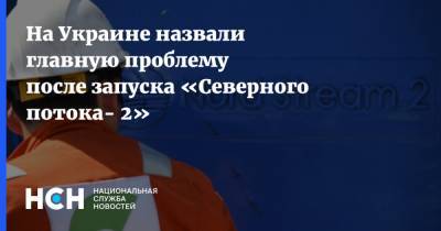 На Украине назвали главную проблему после запуска «Северного потока- 2»