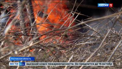 В Ростовской области объявили штормовое предупреждение о чрезвычайной пожароопасности