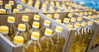 Росстат: в стране снизилось производство подсолнечного масла