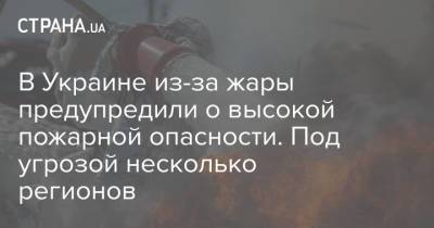В Украине из-за жары предупредили о высокой пожарной опасности. Под угрозой несколько регионов