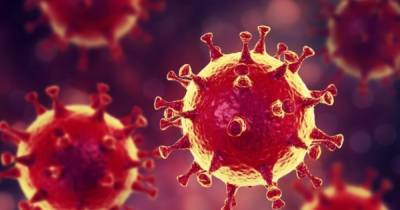 В Британии обнаружили новую мутацию коронавируса