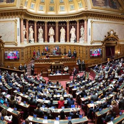 Сенат Франции смягчил проект о "ковидных паспортах", вызвавший массовые протесты