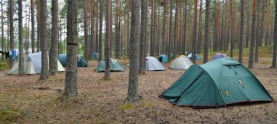Палаточный лагерь туристов-нарушителей обнаружен в лесу на Сямозере в Карелии