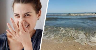 Туристам объяснили причину гнилостного запаха на Черном море