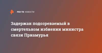 Задержан подозреваемый в смертельном избиении министра связи Приамурья